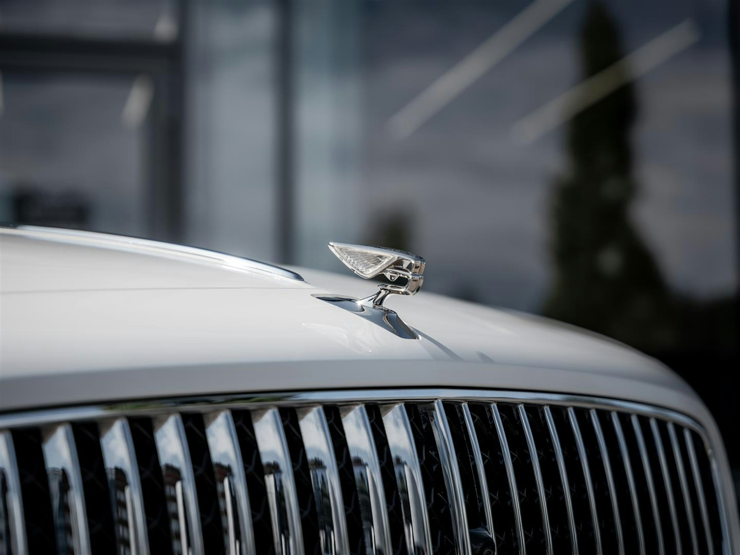 Valkoinen Bentley Flying Spur 2023 kuva 2.
