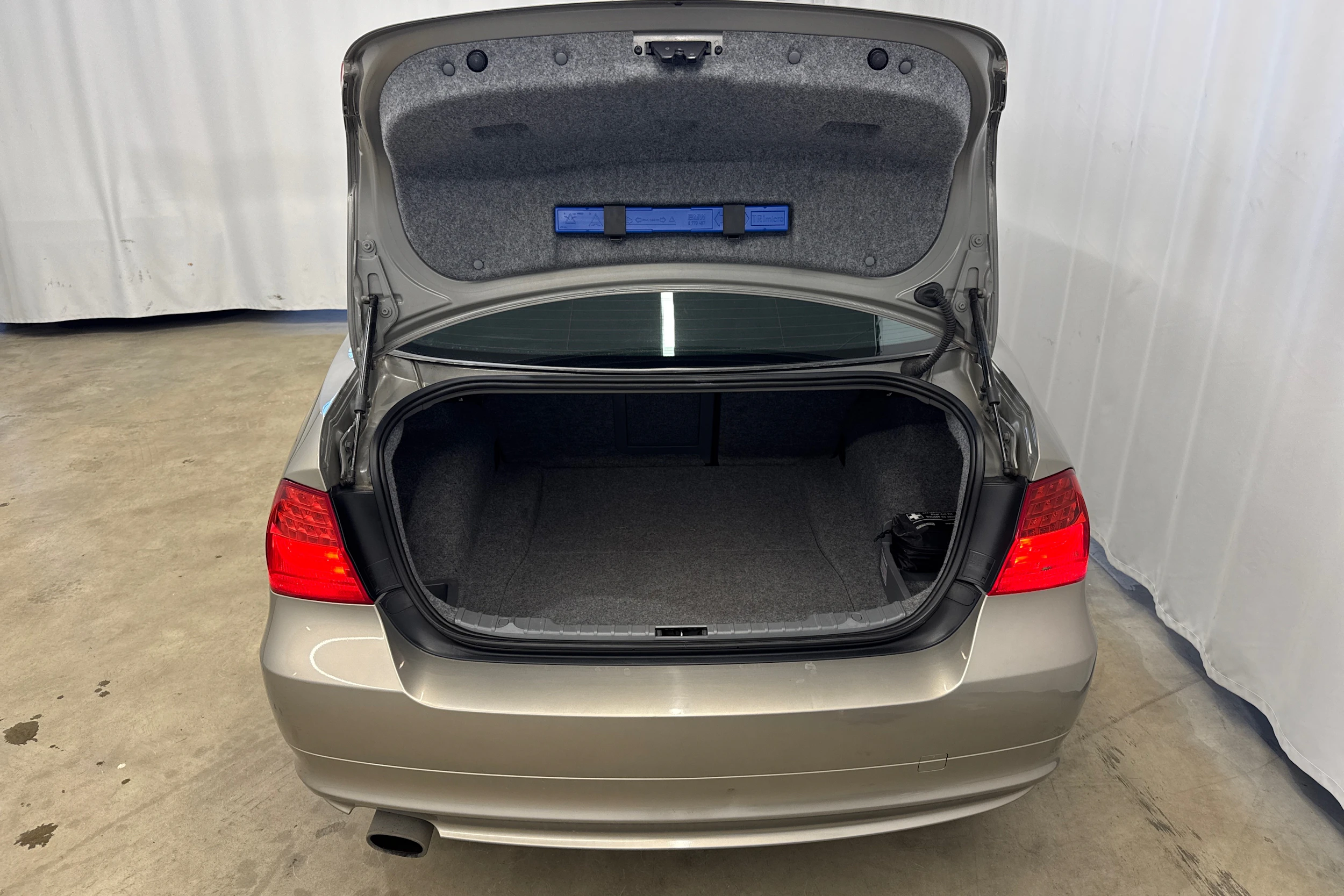 ruskea (beige) BMW 320 2009 kuva 10.