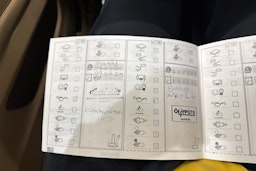 ruskea (beige) BMW 528 2010 kuva 33.