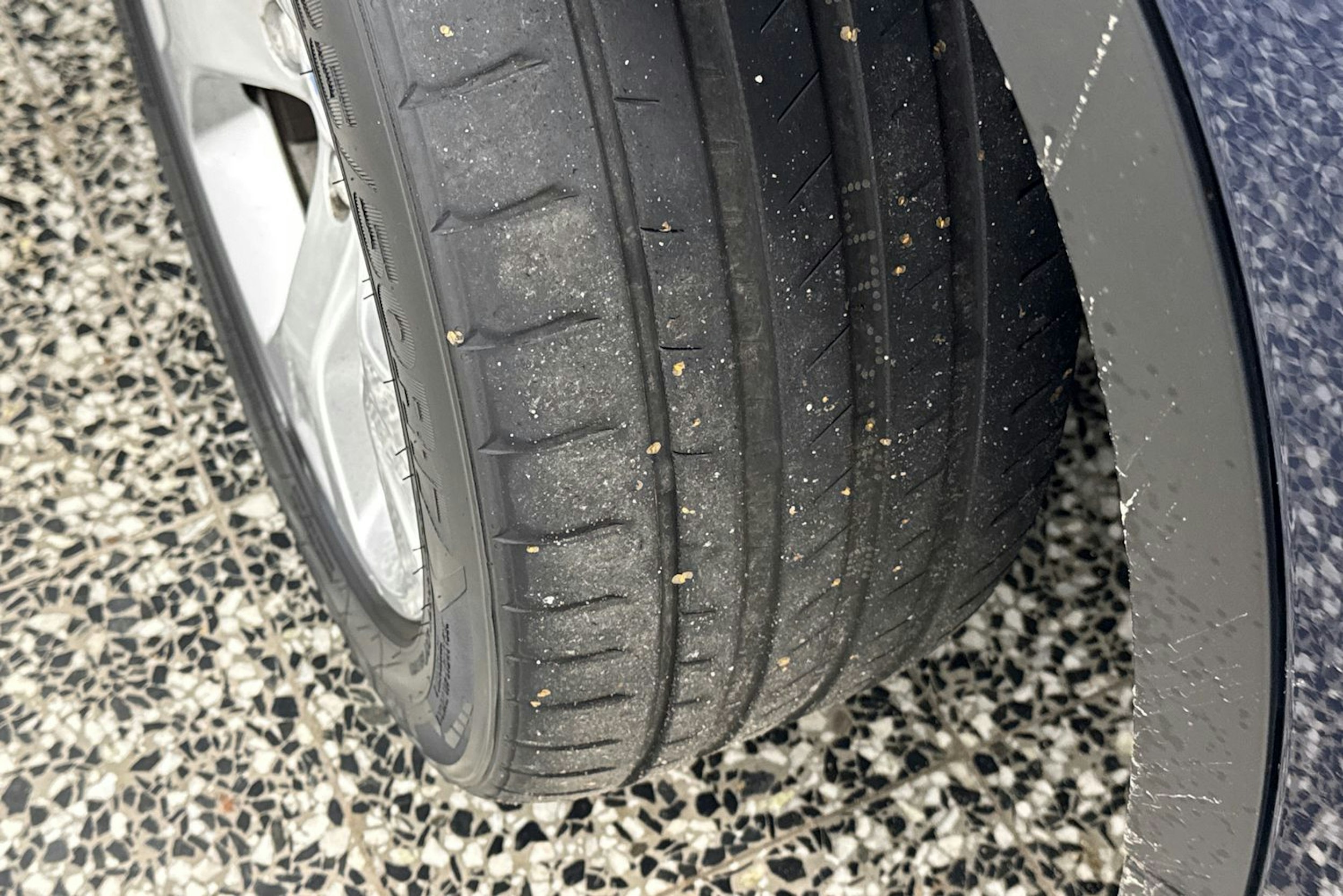 sininen BMW X1 2012 kuva 37.
