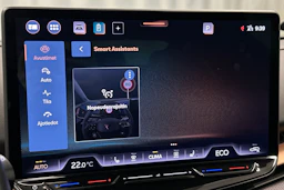 ruskea (beige) CUPRA Tavascan 2024 kuva 28.