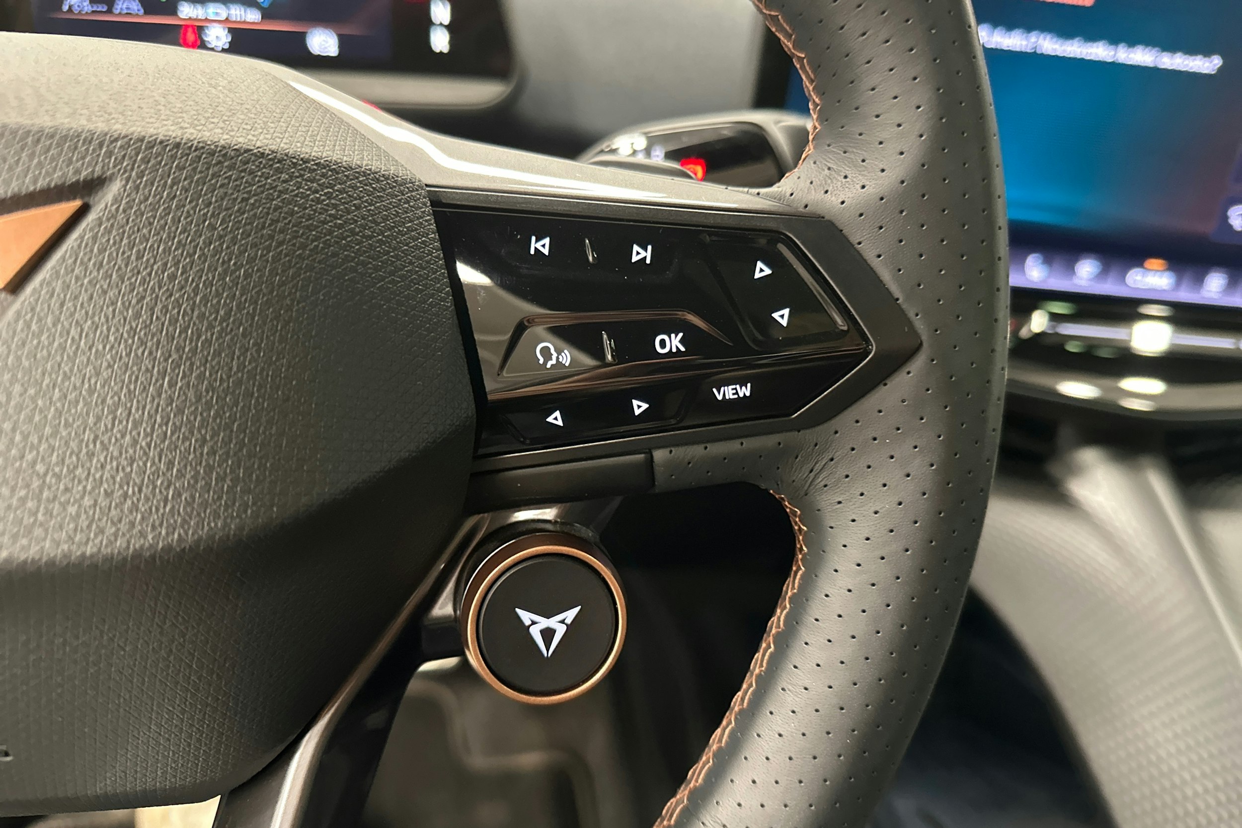 ruskea (beige) CUPRA Tavascan 2024 kuva 15.