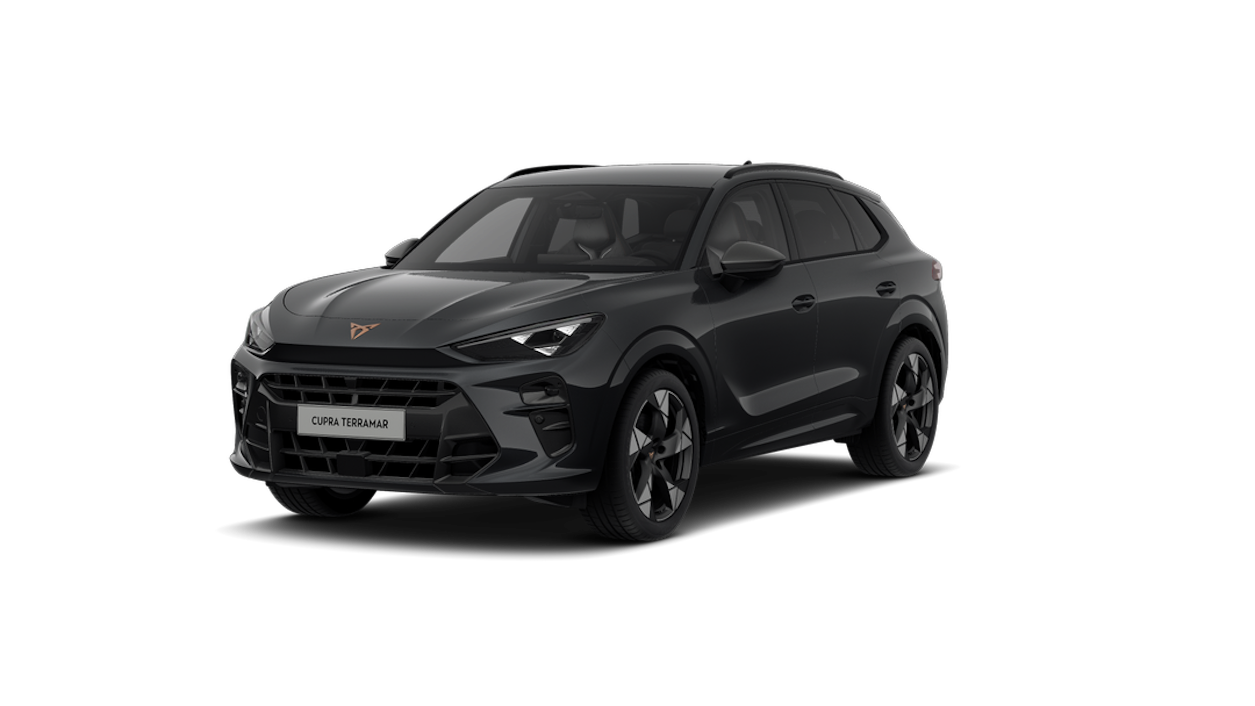 Timanfaya grey CUPRA Terramar 2025 kuva 1.