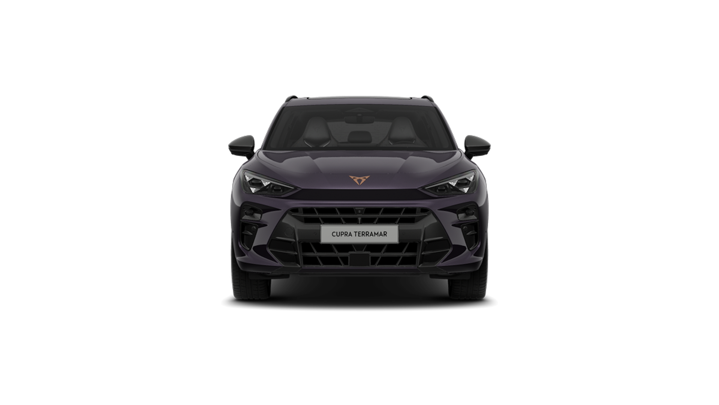Dark void CUPRA Terramar 2026 kuva 5.