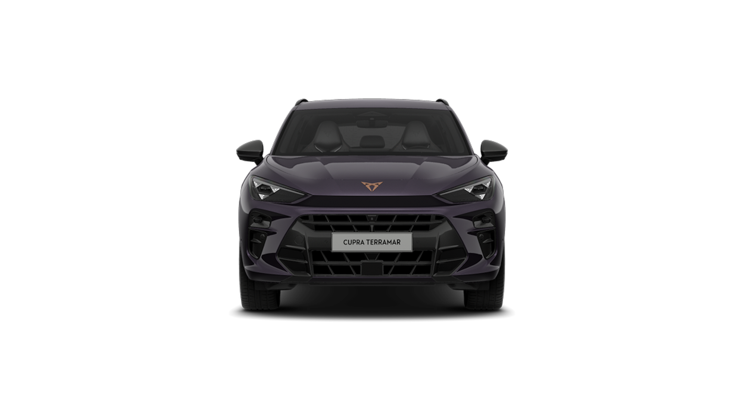 Dark void CUPRA Terramar 2026 kuva 5.