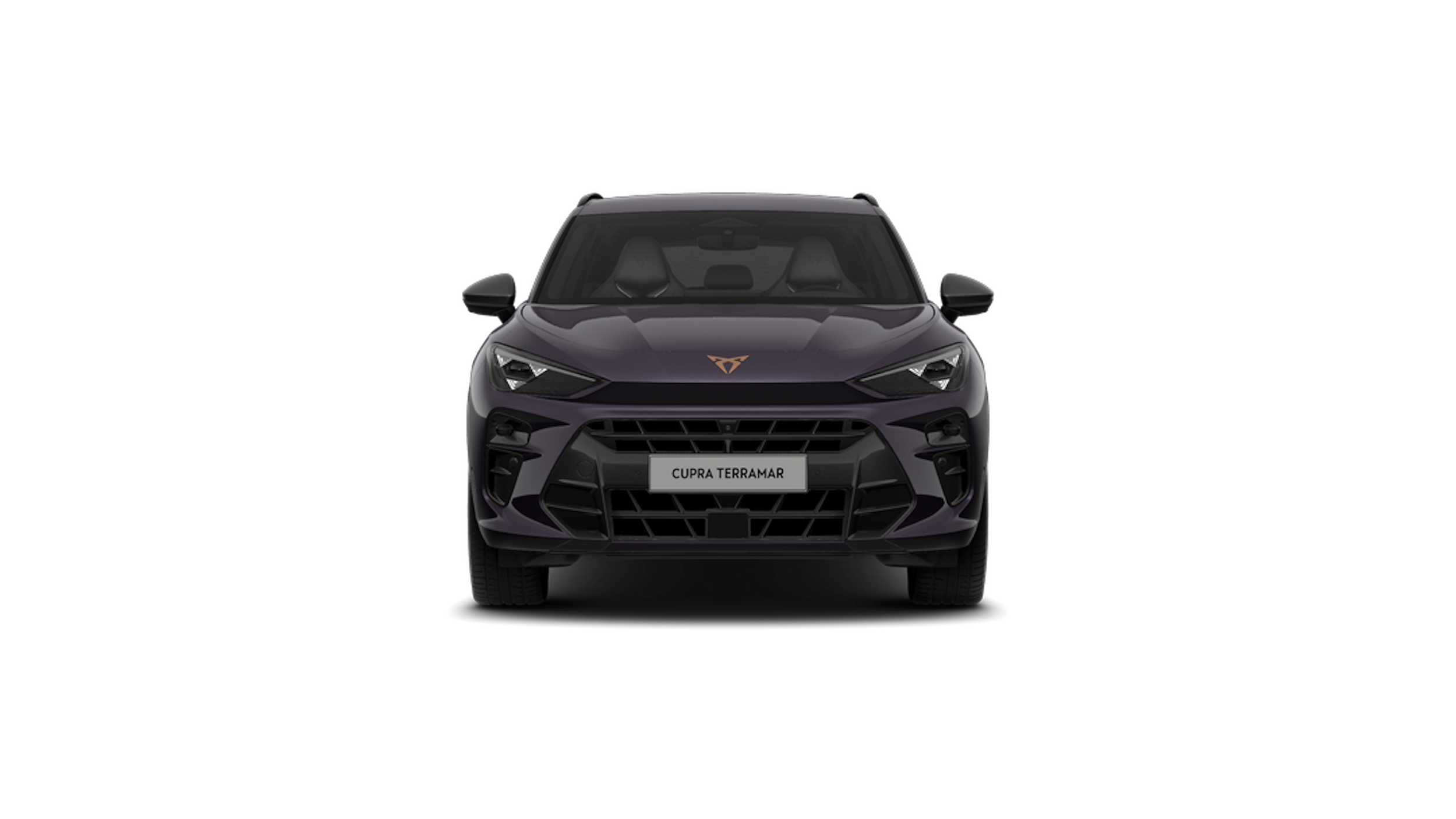 Dark void CUPRA Terramar 2026 kuva 5.
