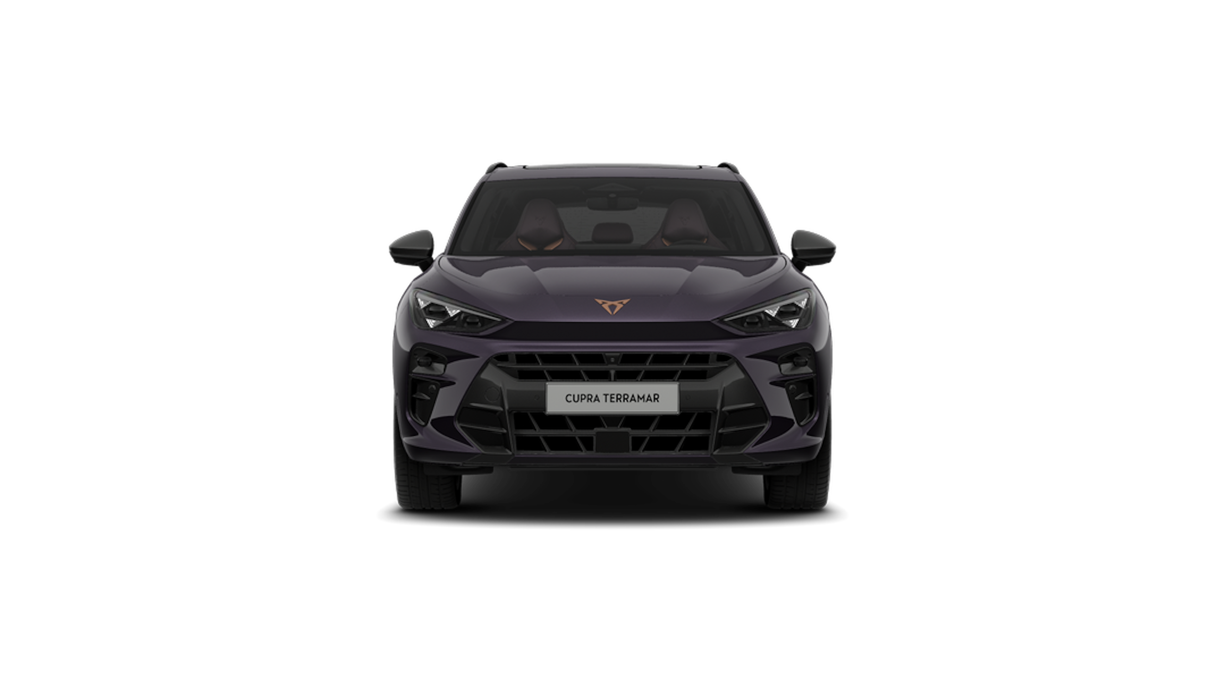 Dark void CUPRA Terramar 2026 kuva 5.
