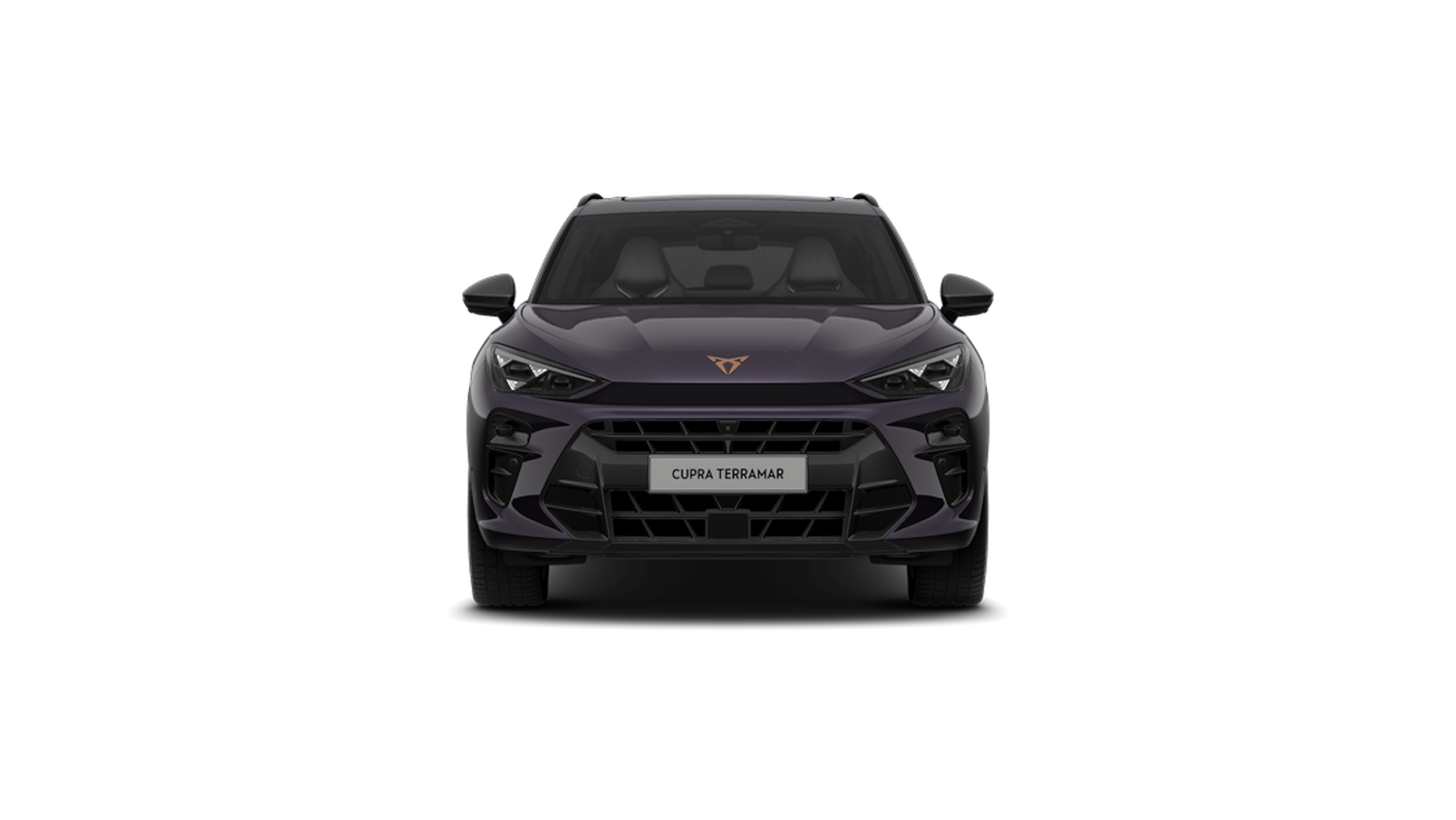 Dark void CUPRA Terramar 2026 kuva 5.