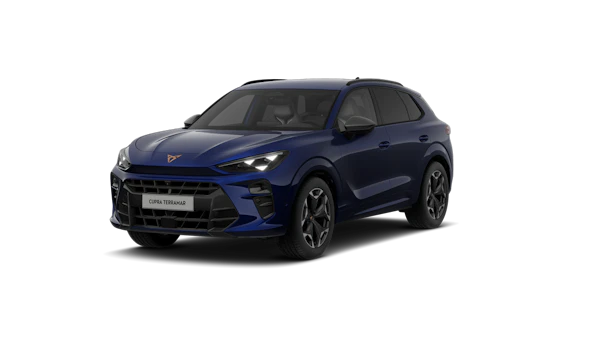 CUPRA Terramar VZ 2,0 TSI 195kW 4Drive DSG Turn On