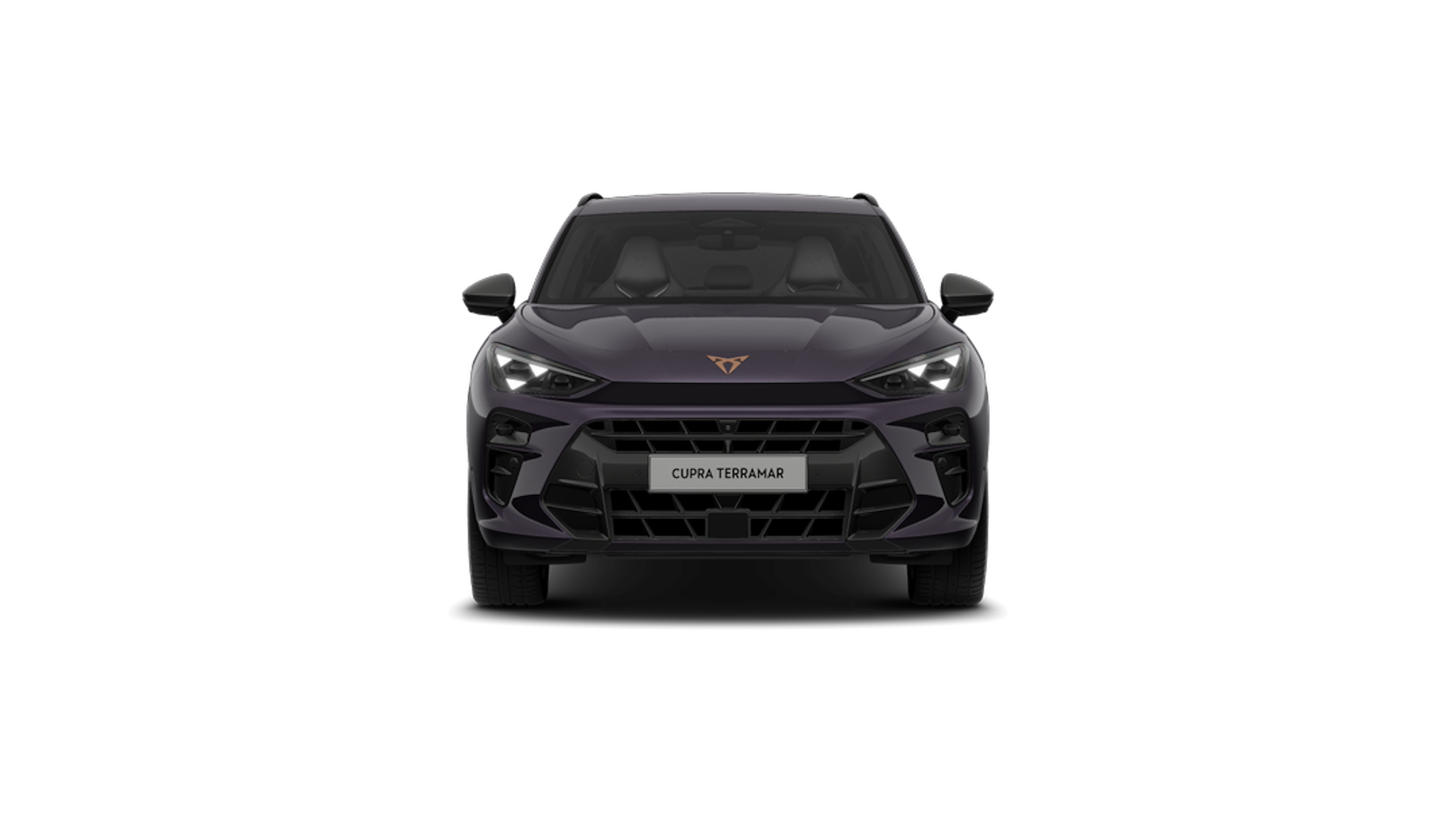 Dark void CUPRA Terramar 2026 kuva 5.