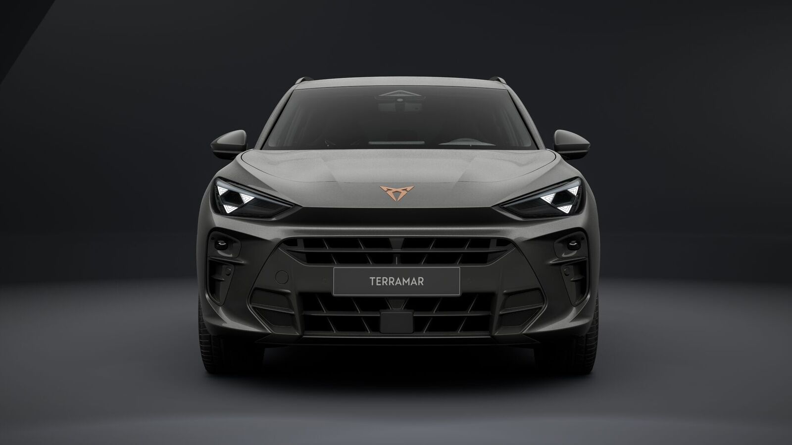 Cupra Terramar 2026, kuva 2/8