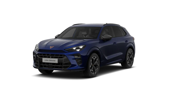CUPRA Terramar VZ 2,0 TSI 195kW 4Drive DSG Turn On