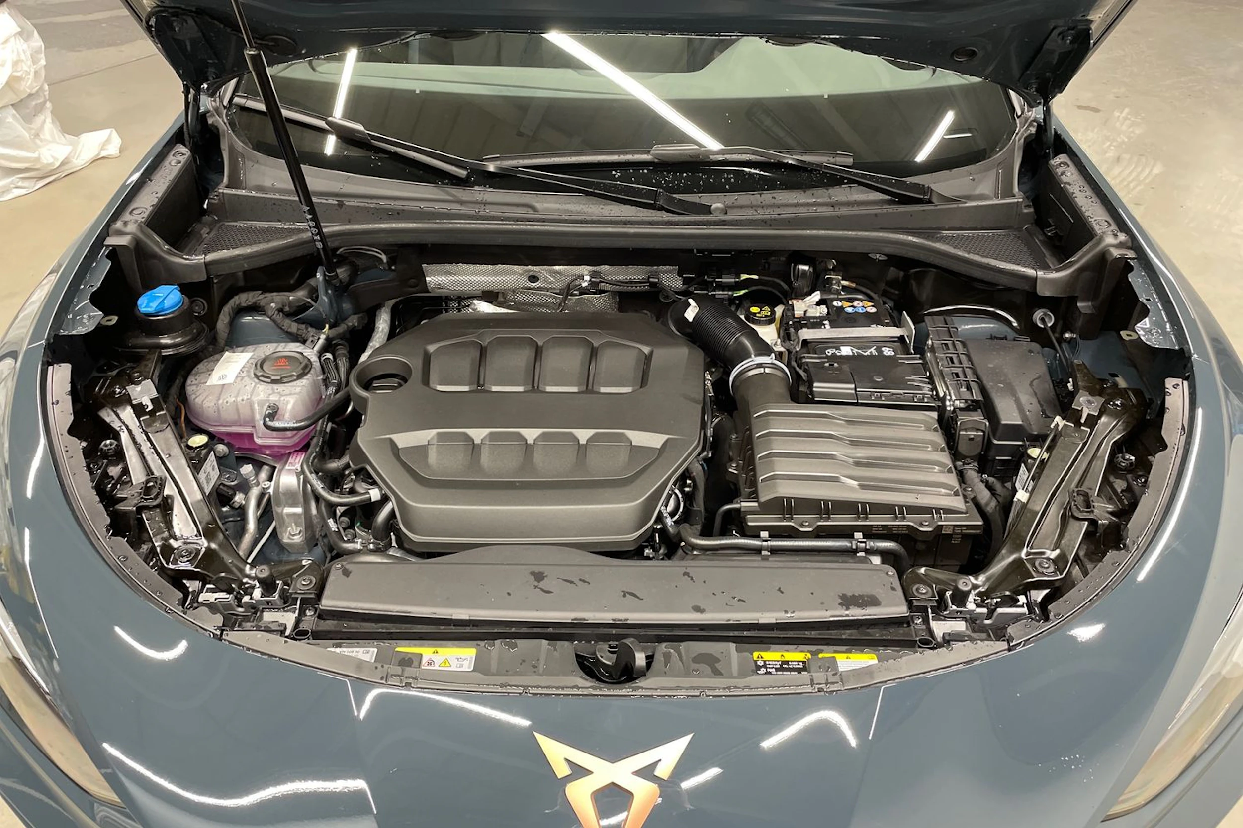 sininen CUPRA Terramar 2026 kuva 15.