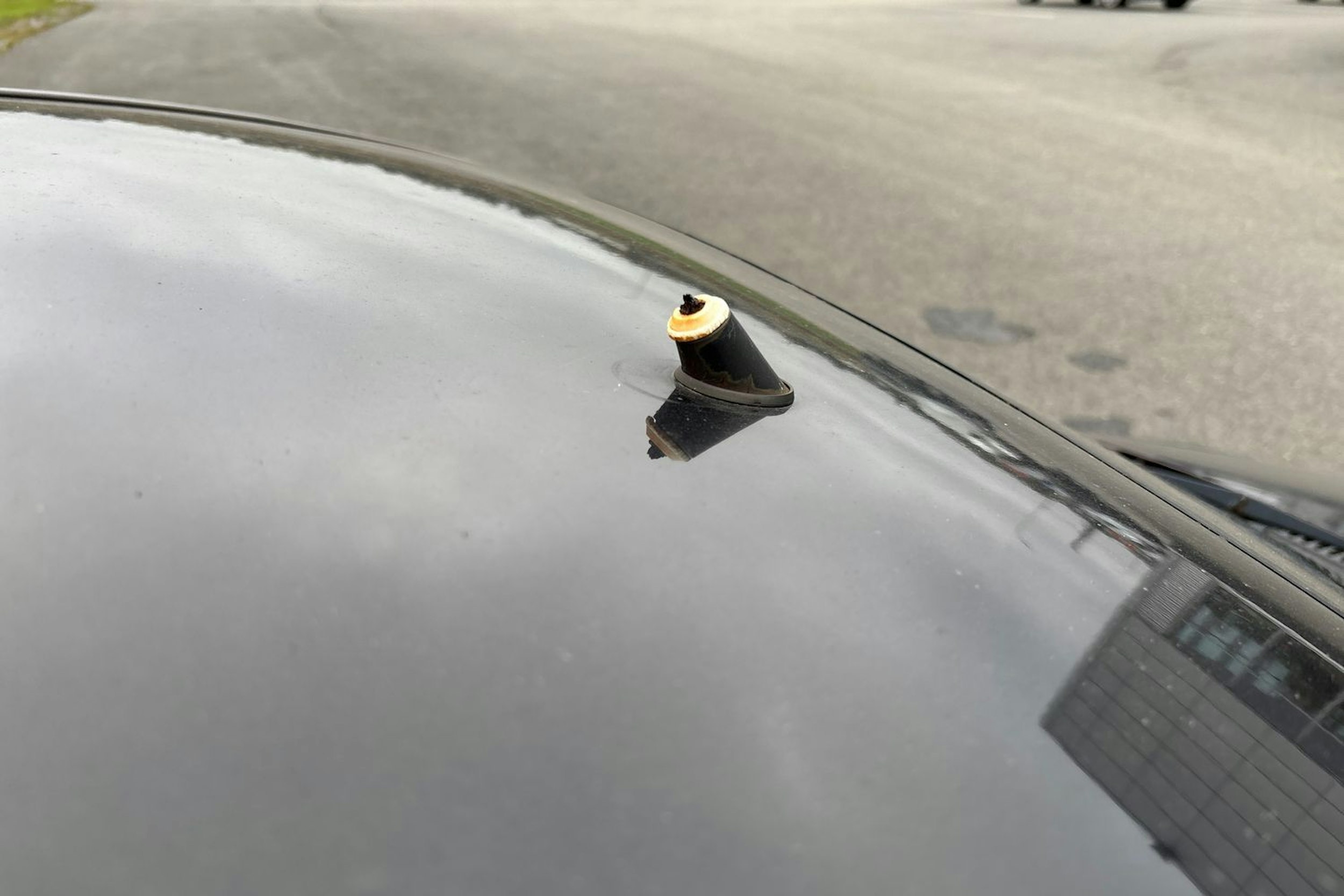 musta Fiat Punto 2006 kuva 29.
