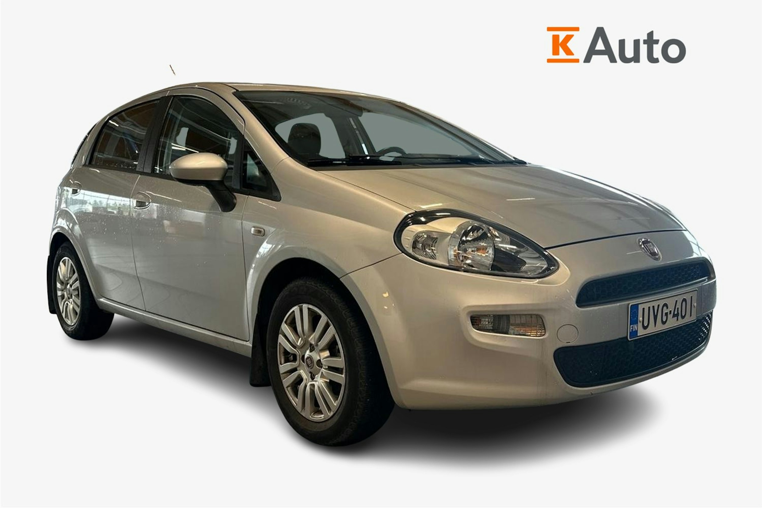 met. hopea Fiat Punto 2013 kuva 1.