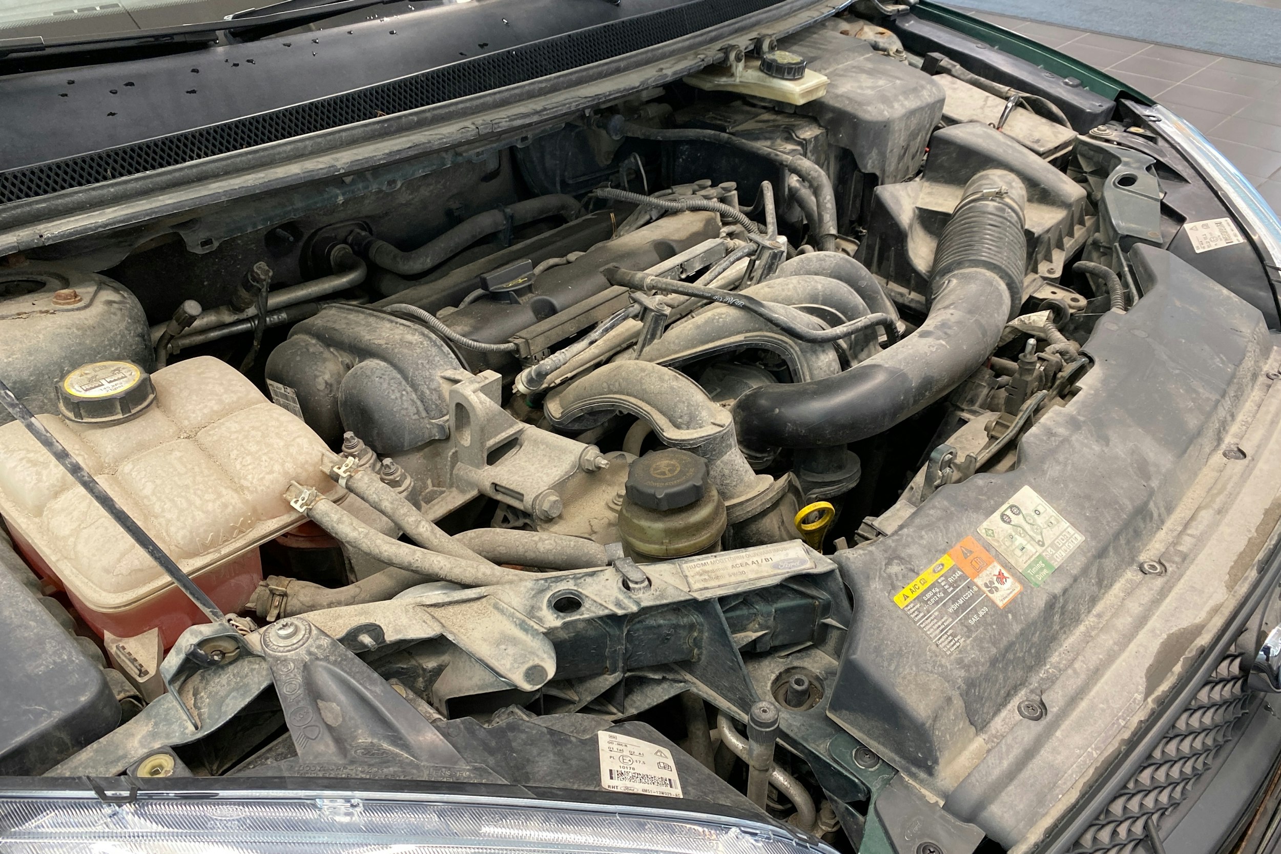 Vihreä Ford FOCUS 2004 kuva 33.