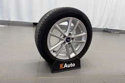 punainen Ford Focus 2016 kuva 13.