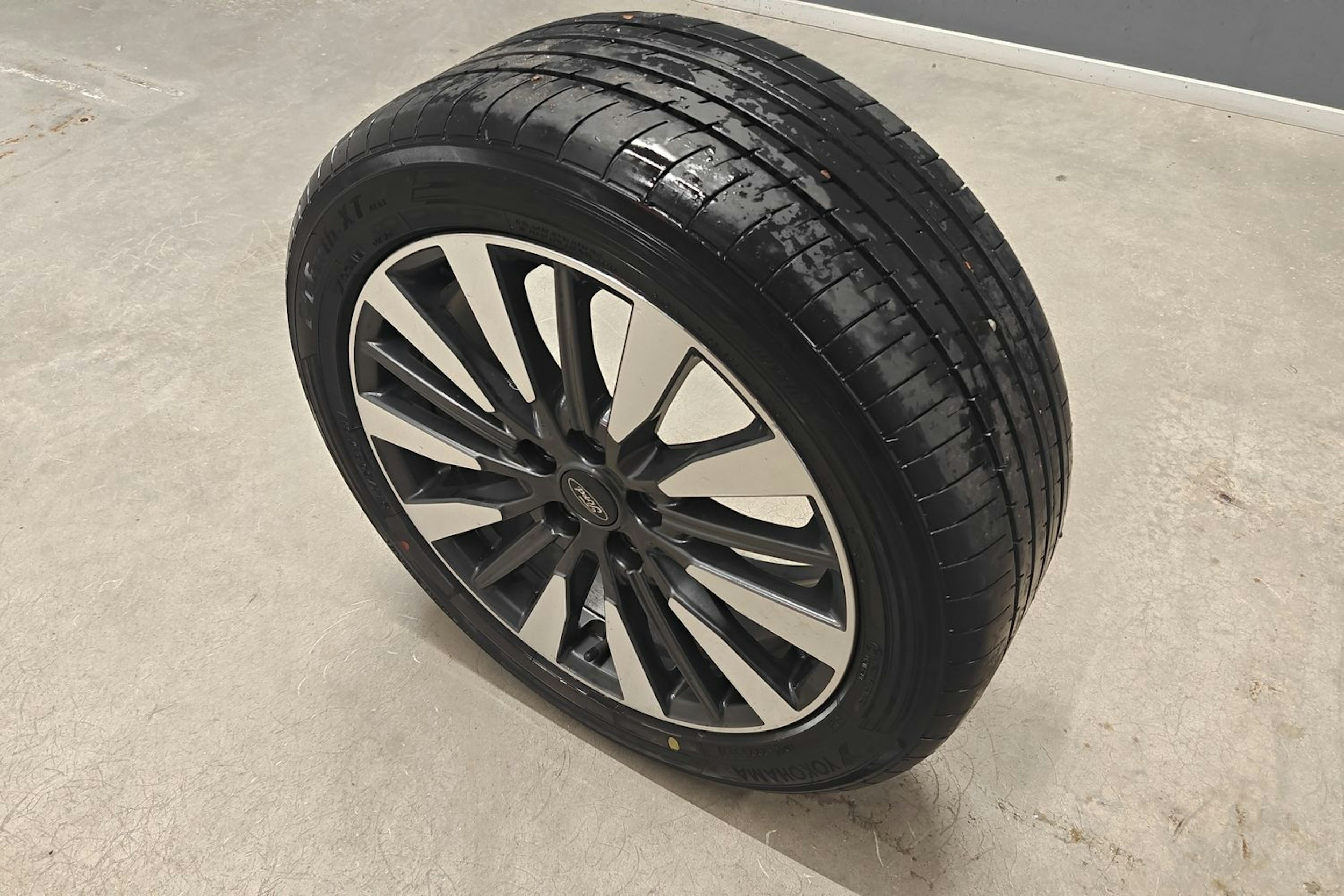 punainen Ford Focus 2023 kuva 17.