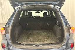 sininen Ford Kuga 2020 kuva 12.
