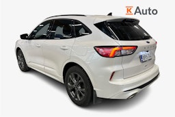 valkoinen Ford Kuga 2021 kuva 2.