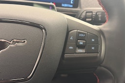 harmaa Ford Mustang Mach-E 2021 kuva 22.