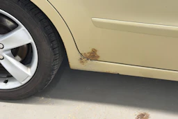 ruskea (beige) Ford S-Max 2006 kuva 15.