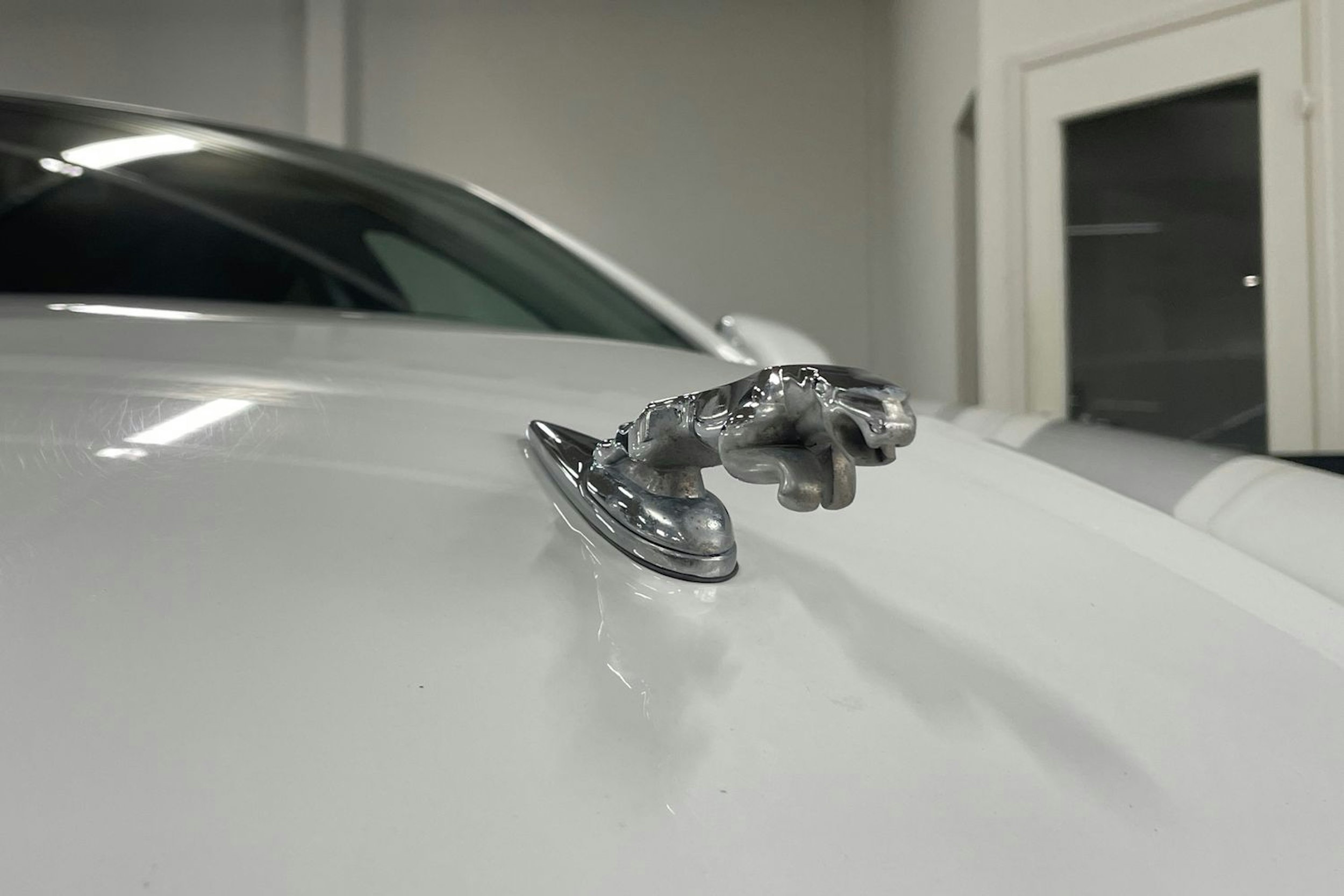 valkoinen Jaguar XF 2013 kuva 19.