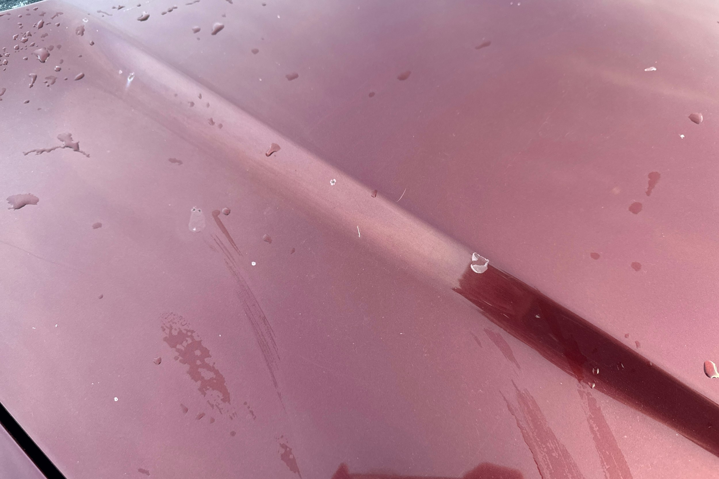 ruskea (beige) Jeep Grand Cherokee 2002 kuva 29.