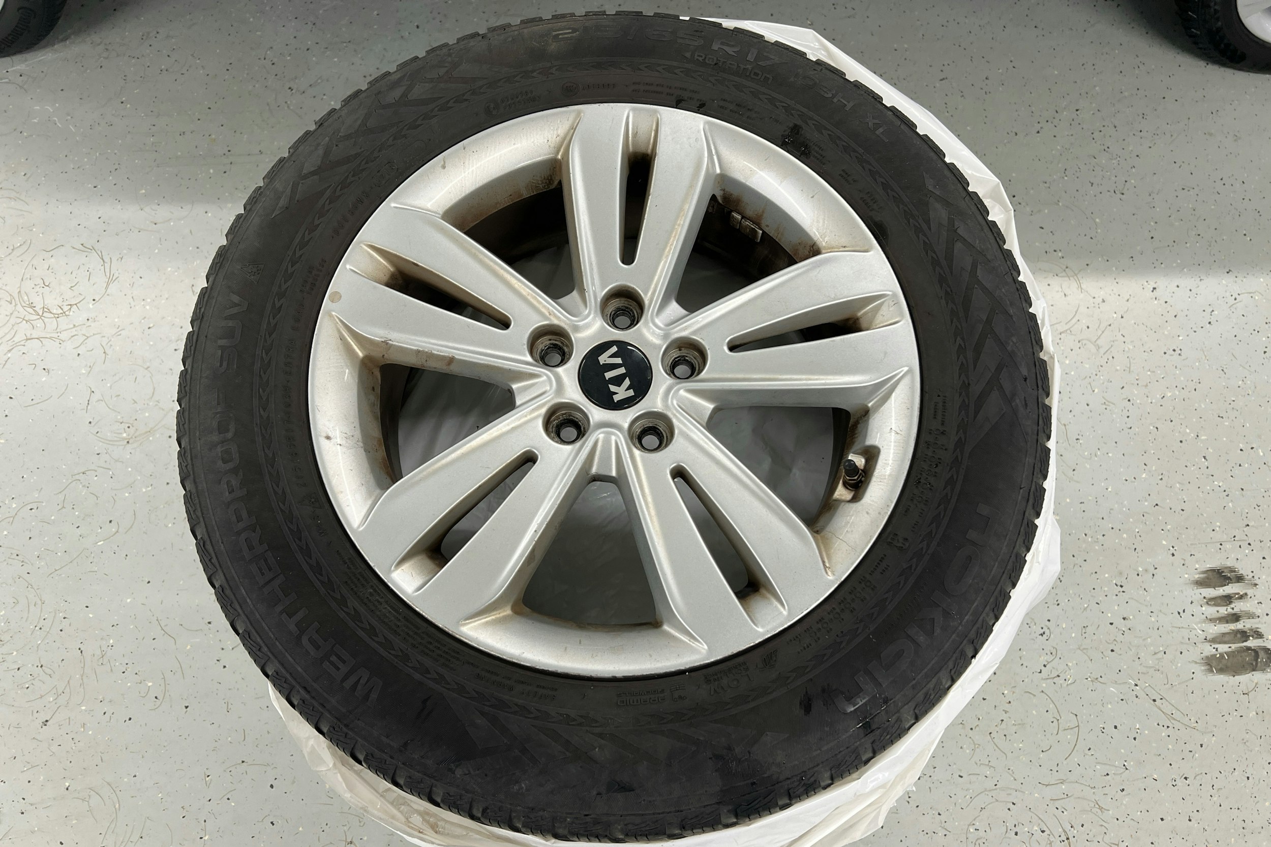 ruskea (beige) Kia Sportage 2016 kuva 22.