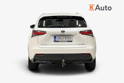 valkoinen Lexus NX 2015 kuva 3.