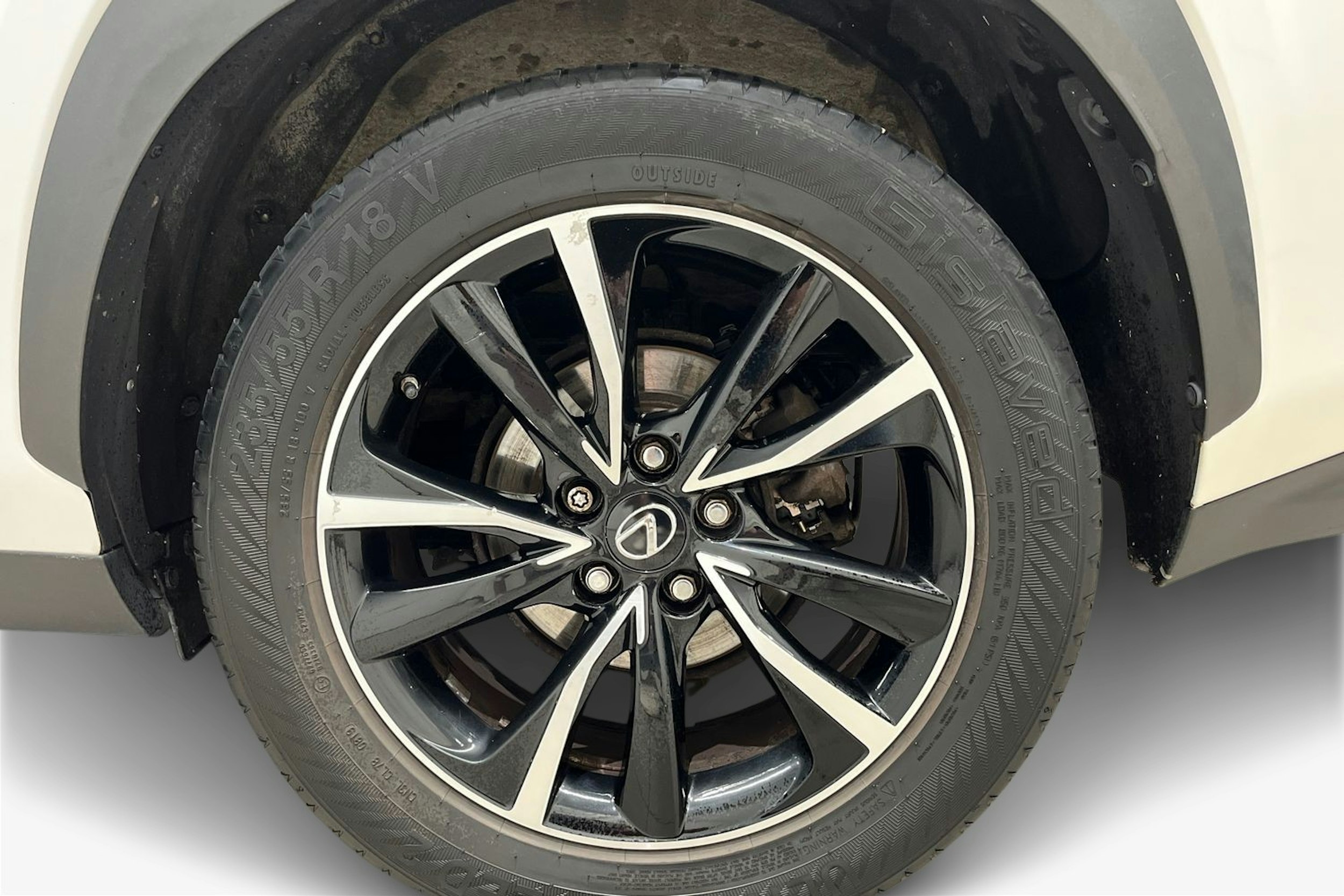 valkoinen Lexus NX 2015 kuva 11.