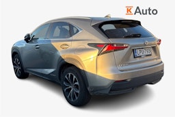 hopea Lexus NX 2015 kuva 2.