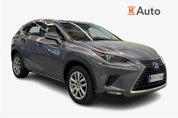 harmaa Lexus NX 2017 kuva 1.