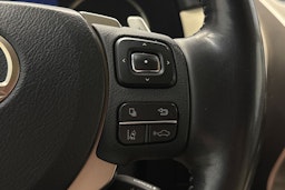 harmaa Lexus NX 2017 kuva 14.
