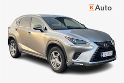hopea Lexus NX 2018 kuva 1.