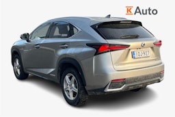 hopea Lexus NX 2018 kuva 2.