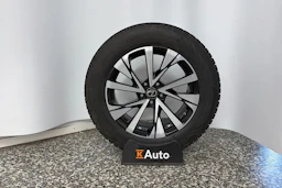 musta Lexus NX 2022 kuva 11.