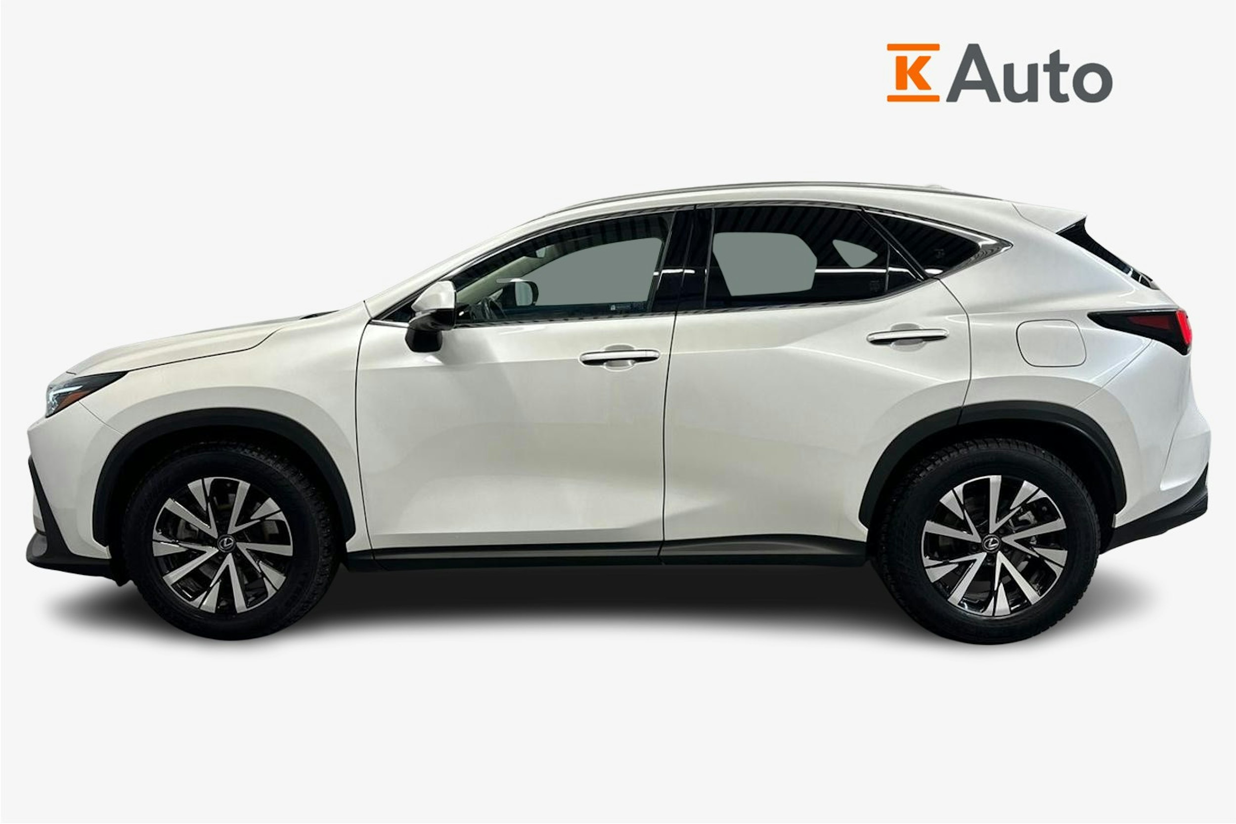 valkoinen Lexus NX 2024 kuva 5.