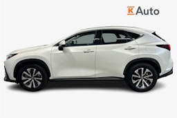 valkoinen Lexus NX 2024 kuva 5.
