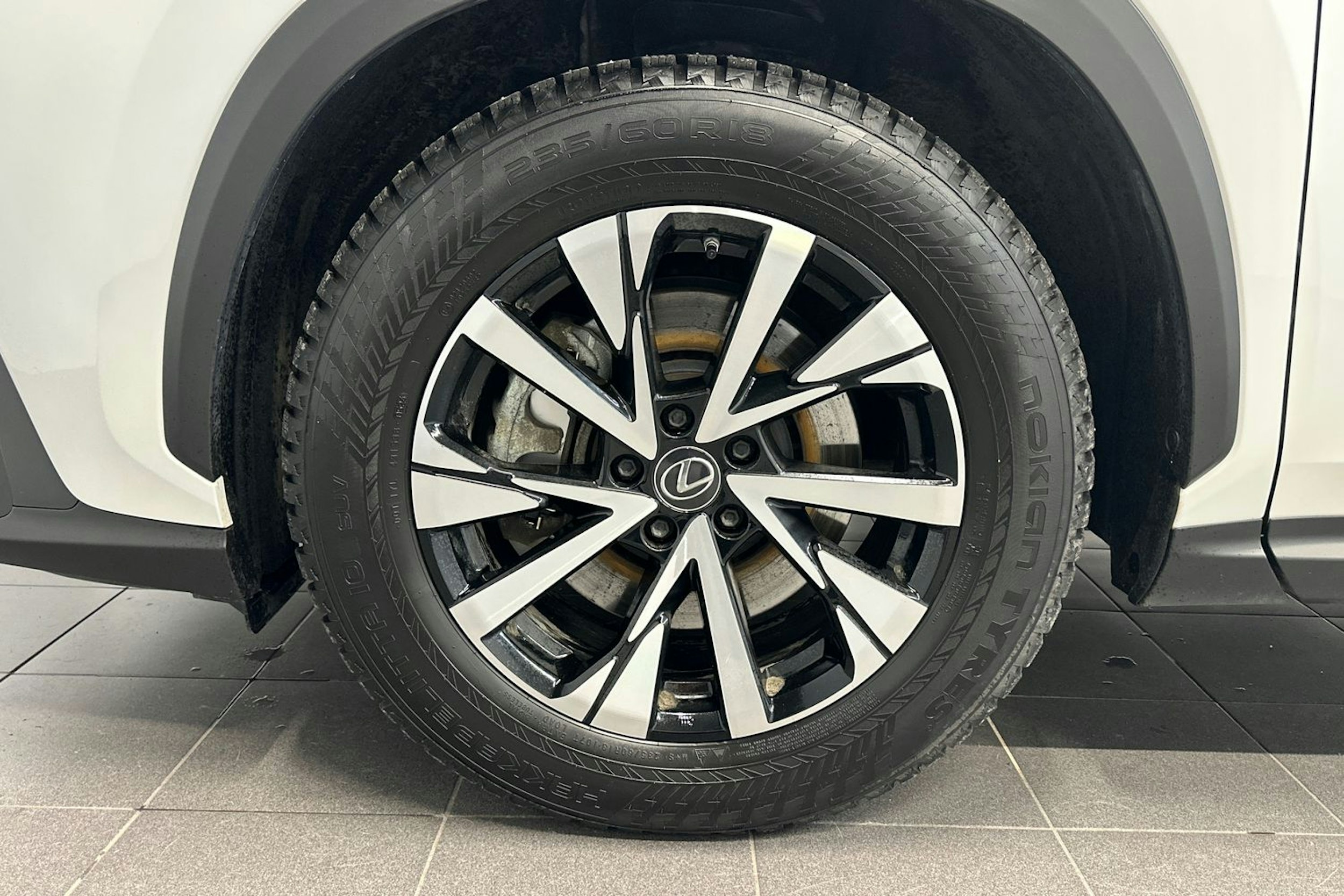 valkoinen Lexus NX 2024 kuva 27.