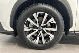 valkoinen Lexus NX 2024 kuva 27.