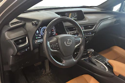 met. hopea Lexus UX 2019 kuva 3.
