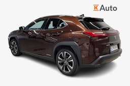 ruskea (beige) Lexus UX 2021 kuva 2.
