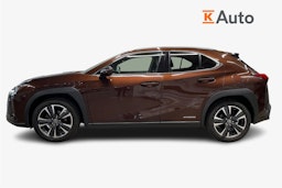 ruskea (beige) Lexus UX 2021 kuva 6.