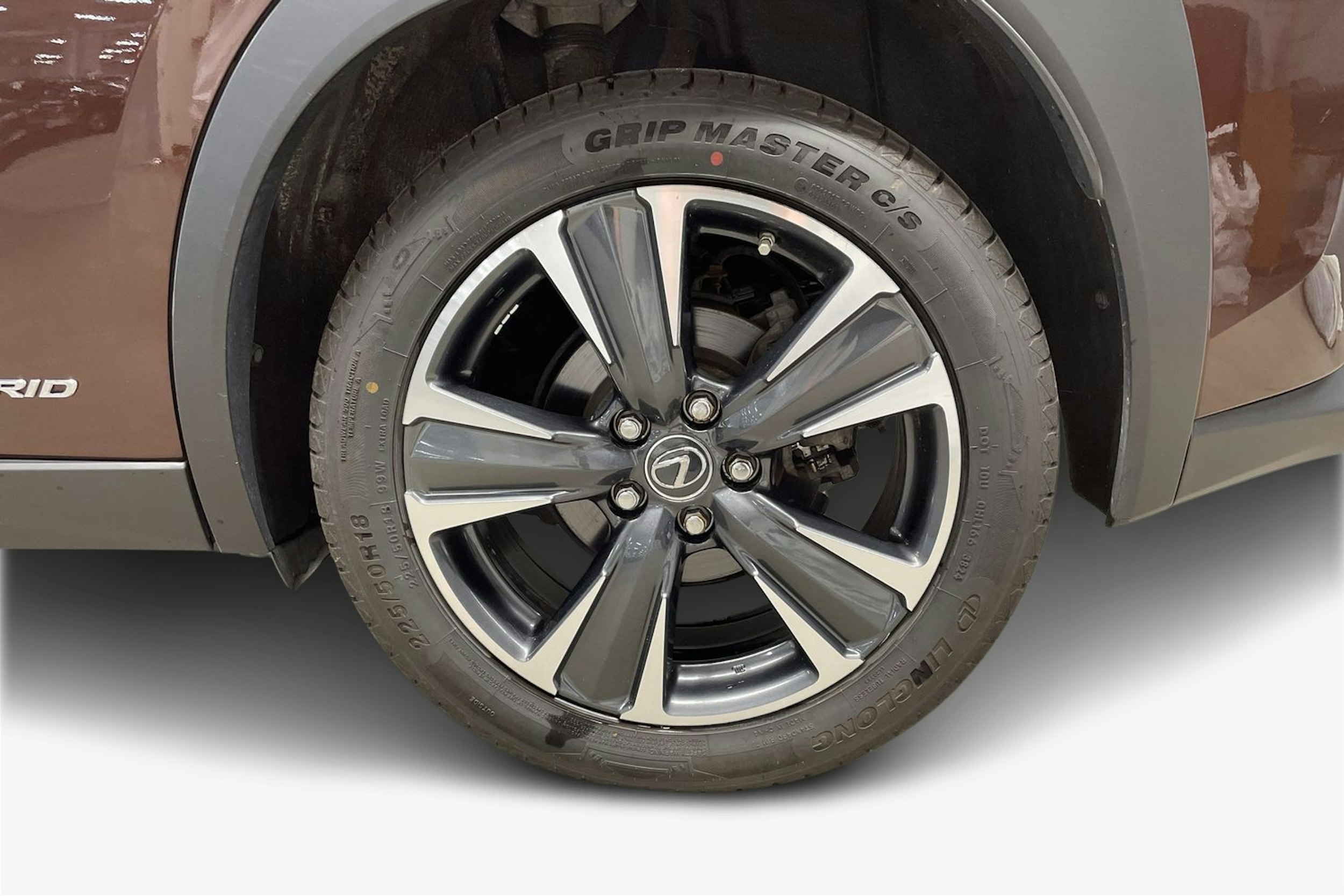 ruskea (beige) Lexus UX 2021 kuva 11.