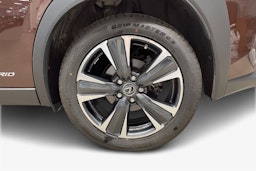 ruskea (beige) Lexus UX 2021 kuva 11.