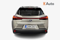 hopea Lexus UX 2021 kuva 3.