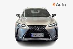 hopea Lexus UX 2021 kuva 5.