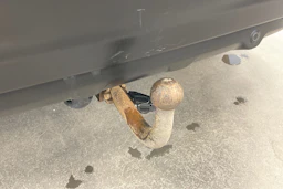 ruskea (beige) Nissan Qashqai 2014 kuva 15.