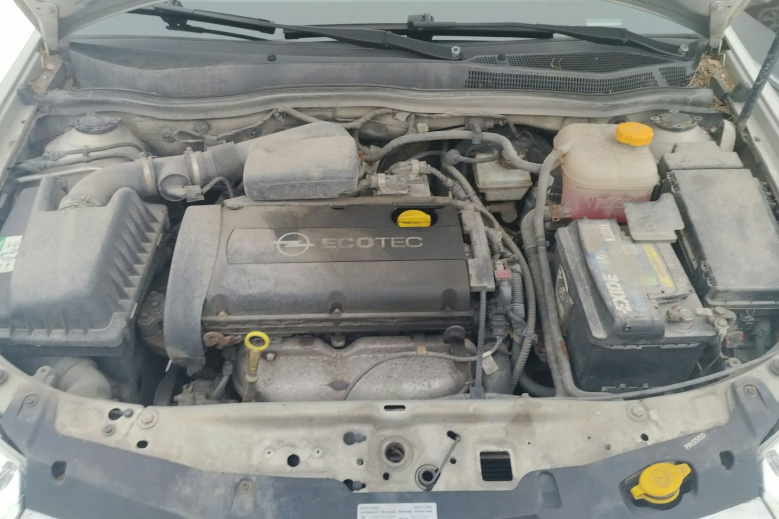 met. ruskea (beige) Opel Astra 2007 kuva 22.